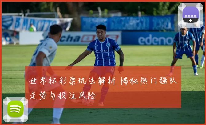 世界杯彩票玩法解析 揭秘热门强队走势与投注风险