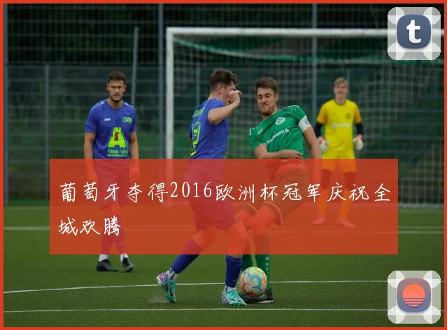 葡萄牙夺得2016欧洲杯冠军庆祝全城欢腾