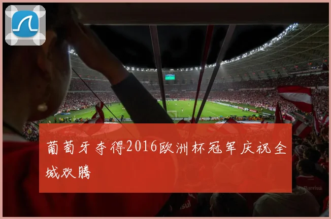 葡萄牙夺得2016欧洲杯冠军庆祝全城欢腾