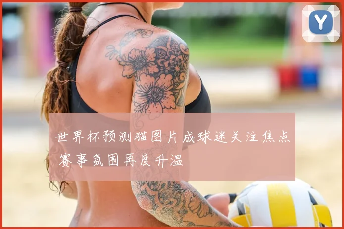 世界杯预测猫图片成球迷关注焦点 赛事氛围再度升温
